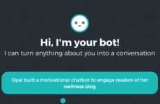 Customizable Chat Bots