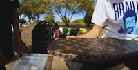 Luxury Fashion Skateboards Image 2