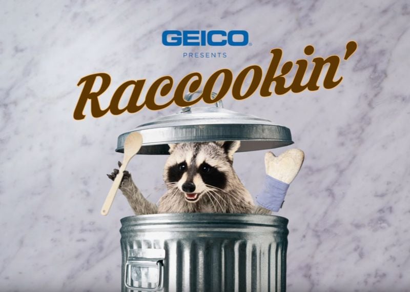 Raccoon Cooking Tutorials