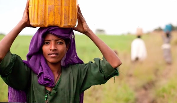 Top 70 Social Good Ideas in November