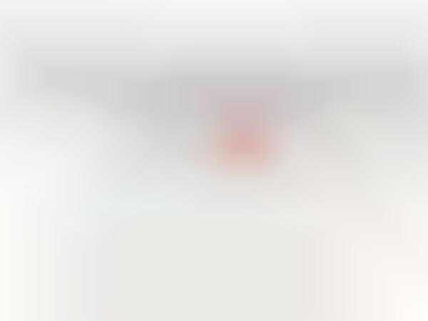 Chat Bot Travel Sites