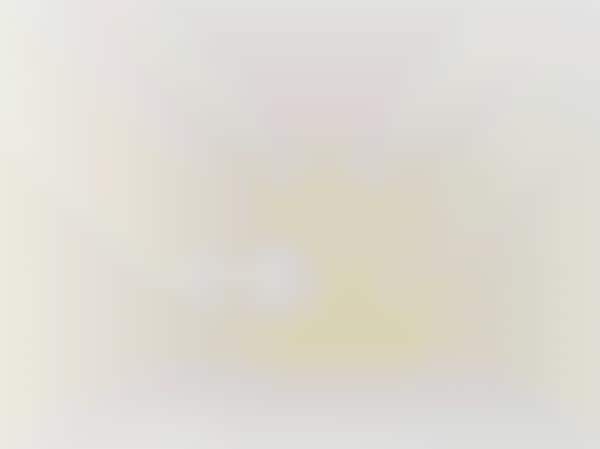 Petrochemical-Free Cosmetic Soaps