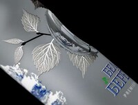 Indented Vodka Bottle Concepts Image 5