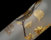 Indented Vodka Bottle Concepts Image 6