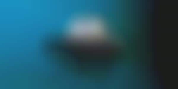 Observant Underwater Drones