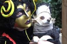 Costumed Canine Events