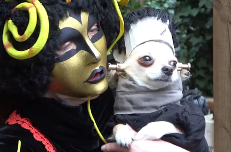 Costumed Canine Events