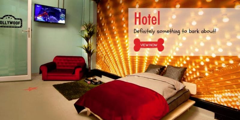 Opulent Dog Hotels