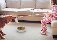 Plant-Topped Robotic Vacuums Image 3