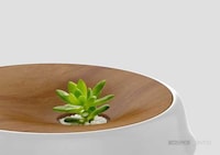 Plant-Topped Robotic Vacuums Image 5