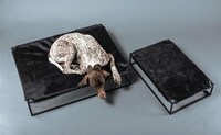 Canine Sling Beds Image 3