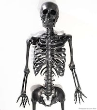 Artistic Graphite Skeletons Image 3