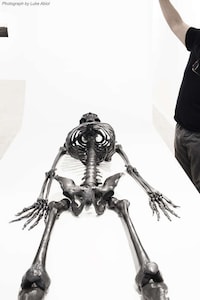Artistic Graphite Skeletons Image 6