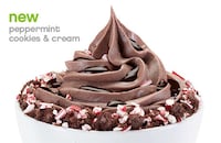 Festive Frozen Yogurt Flavors Image 2
