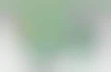 Natural Recycled Plastic Products