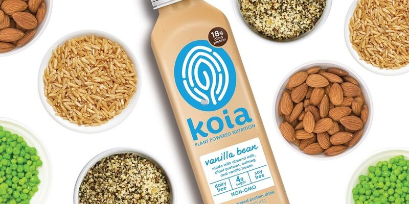 Plant-Powered Protein Drinks