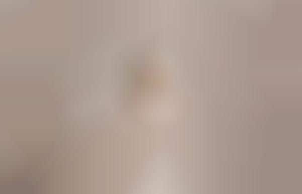 Custom Wedding Dress Deliveries