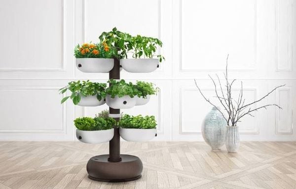 Top 70 Internet of Things Ideas in November