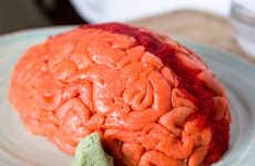 Organ-Inspired Sushi Dishes