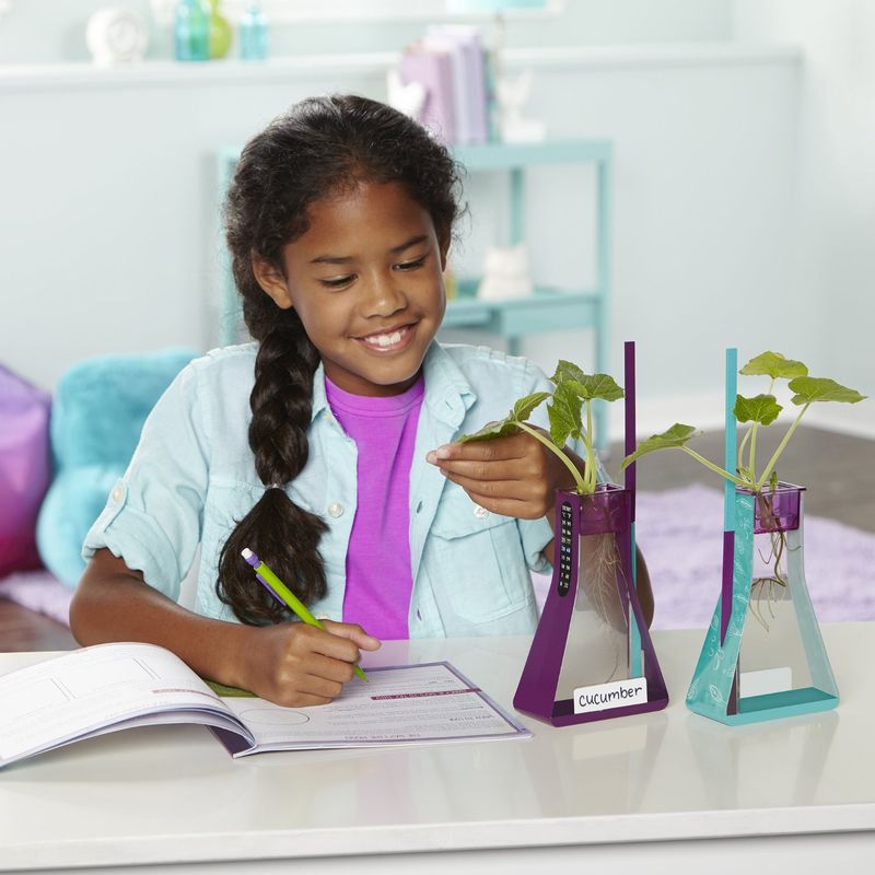 Hydroponic Botany Science Kits
