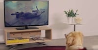 Pet-Calming Videos Image 8