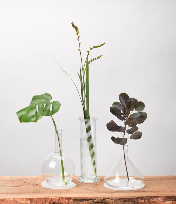 Scientific Glass Vases