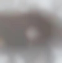 Large-Scale Meditation Events Image 1