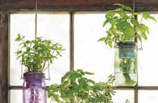 Self-Watering Herb Gardens