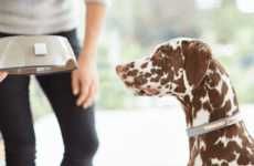 Pet-Monitoring Home Systems