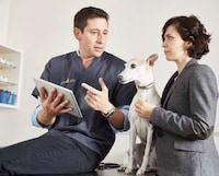 Pet-Monitoring Home Systems Image 2