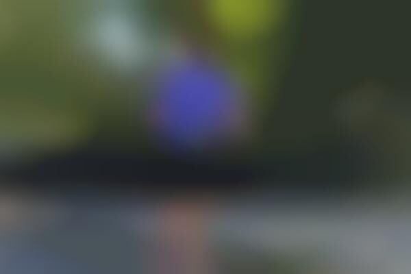 Runner Hydration Belt Kits