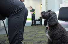 Dental Office Therapy Dogs