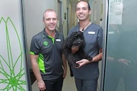 Dental Office Therapy Dogs Image 2