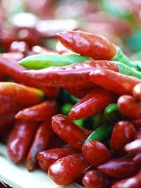 Cooking Shows for Couples Image 4