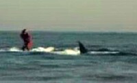 Insanely Dangerous Extreme Sports