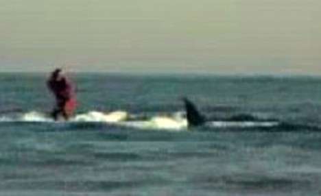 Insanely Dangerous Extreme Sports