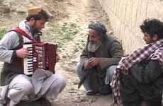 Peace Through Accordions