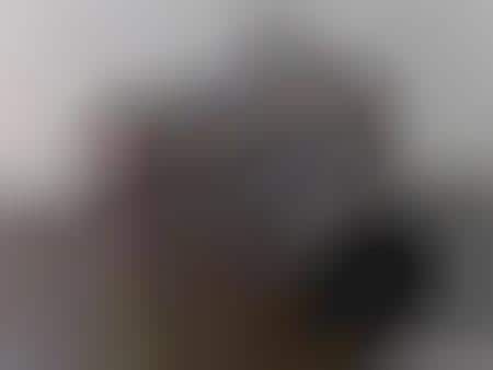 Transparent Cameras