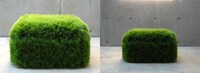Astroturf Indoor Seating Image 3