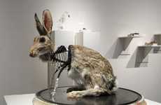 Blinged-Out Taxidermy