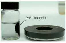 Magnetic Blood Purification