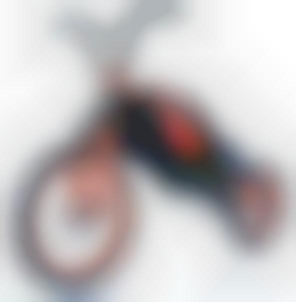 Backpack Mountain Bikes