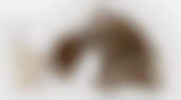 Patient Petography