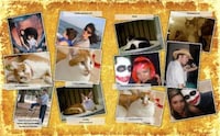 Printed Facebook Albums Image 7