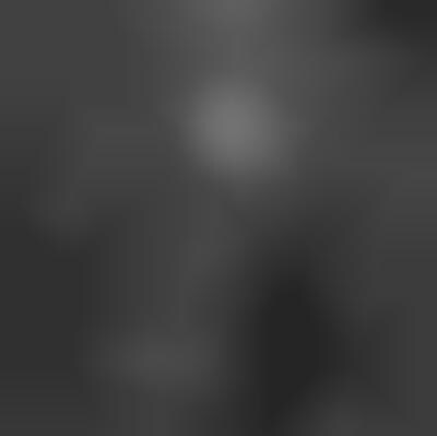 Steamy Denim Shoots