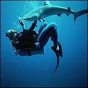 50 Far-Out Hobbies