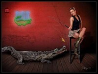 Playful Pin-Ups Image 3