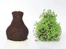 25 Multi-Functional Objects That Save You Time and Space