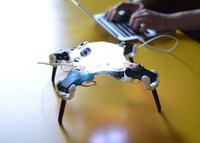 Educational DIY Robots Image 3