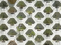 University Campus Living Walls Image 3